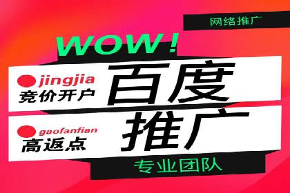 探索SEM竞价专员的技能要求与成功案例