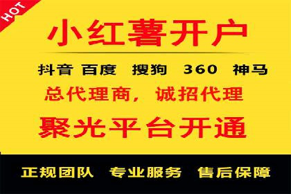 竞价广告的投放时机与频次选择——基于案例的探讨